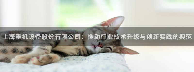 威九国际MM：上海重机设备股份有限公司：推动行业技术升级与创