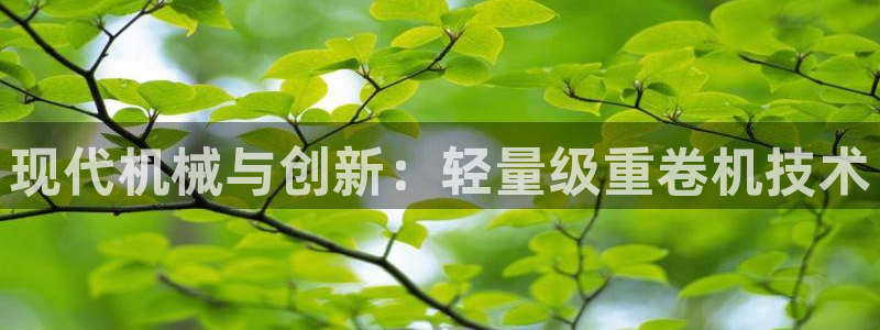 威九国际哪国的：现代机械与创新：轻量级重卷机技术