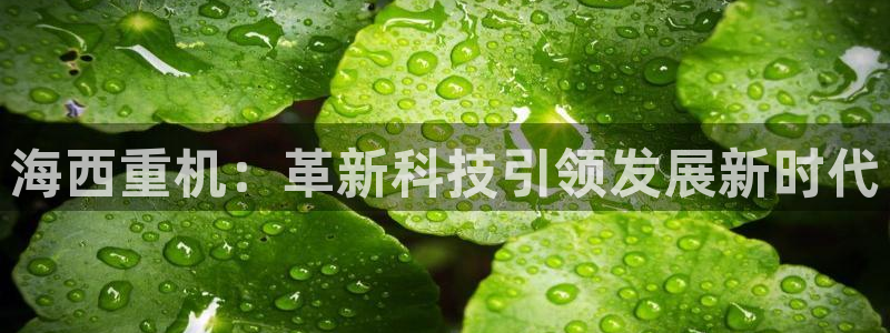 威九国际空降服务女演员叫什么名字：海西重机：革新科技引领发展