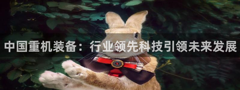 威九国际可以提现吗：中国重机装备：行业领先科技引领未来发展