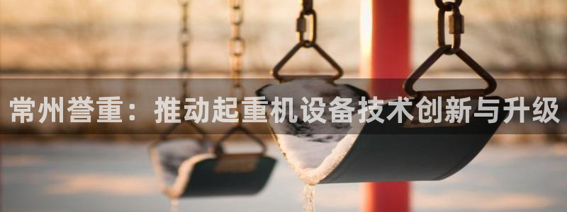 威九国际特殊奖励我的奖励竟然是嫂子：常州誉重：推动起重机设备