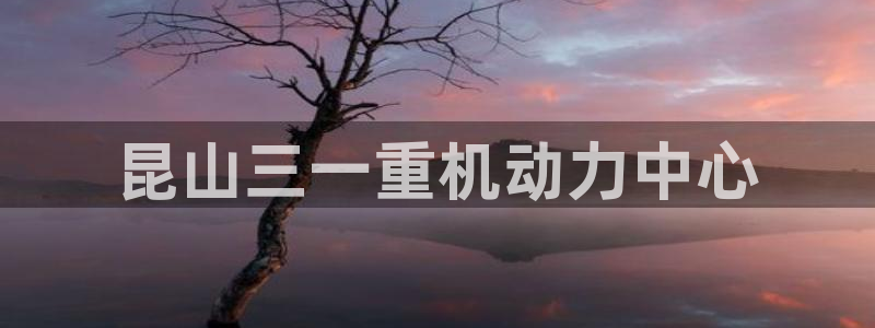威九国际官网版下载：昆山三一重机动力中心