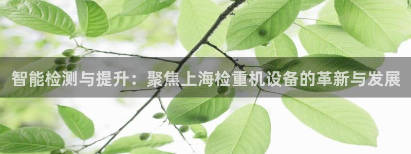 威九国际66m66m电影