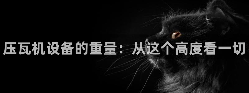 威九国际免费网络站：压瓦机设备的重量：从这个高度看一切