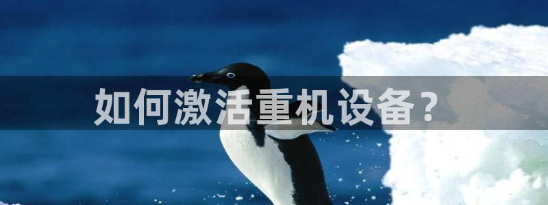 威九国际网站入囗：如何激活重机设备？