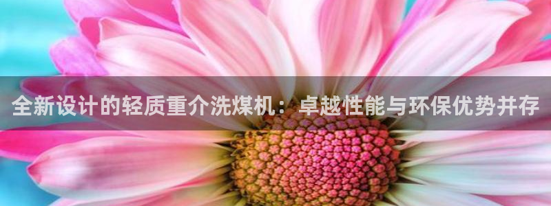 威九国际官方下载：全新设计的轻质重介洗煤机：卓越性能与环保优