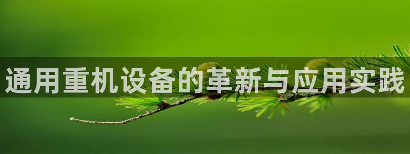 威九国际旗下艺人：通用重机设备的革新与应用实践
