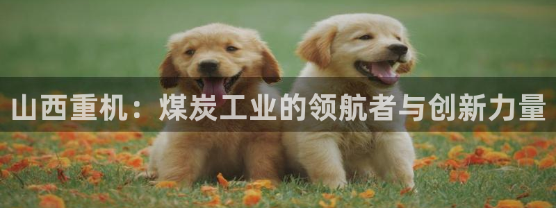 威九国际官网登录入口网站：山西重机：煤炭工业的领航者与创新力