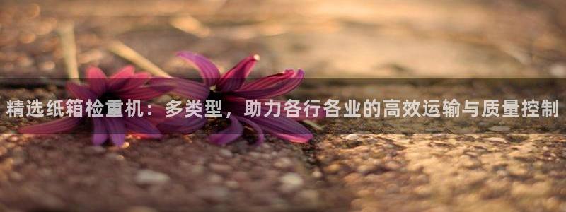 威九国际78m78下载：精选纸箱检重机：多类型，助力各行各业
