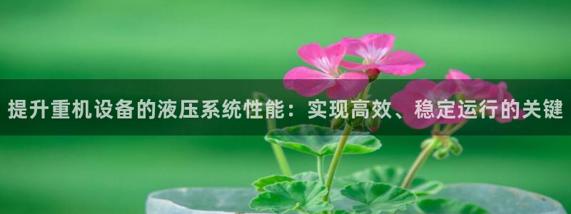 威九国际在线平台怎么样啊：提升重机设备的液压系统性能：实现高