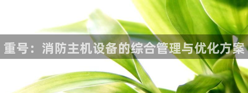 威九国际Info：重号：消防主机设备的综合管理与优化方案