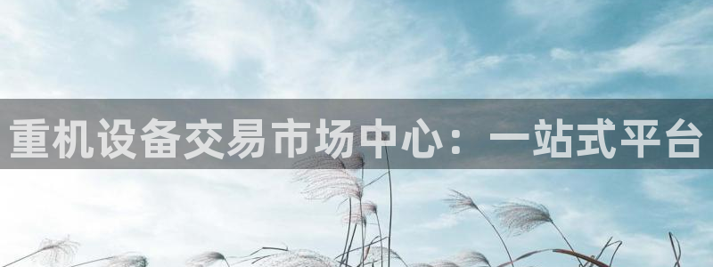 威九国际电子游戏：重机设备交易市场中心：一站式平台