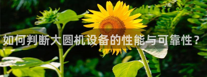 威九国际游戏：如何判断大圆机设备的性能与可靠性？