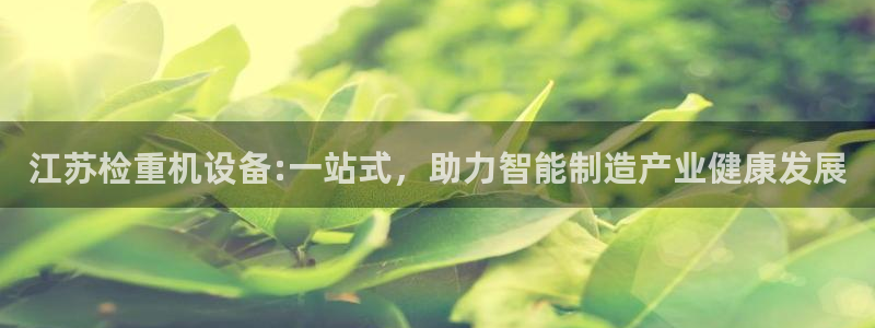 威九国际如何下载：江苏检重机设备:一站式，助力智能制造产业健