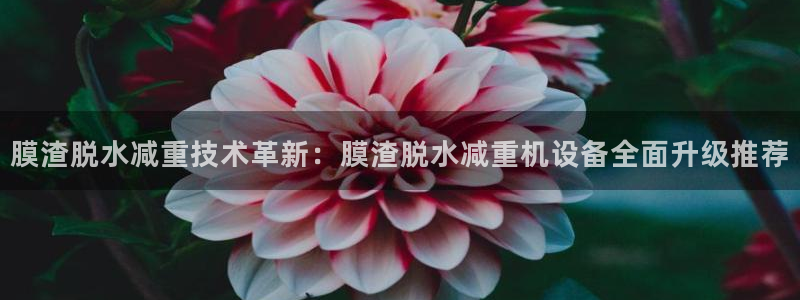 威九国际ppt官网：膜渣脱水减重技术革新：膜渣脱水减重机设备
