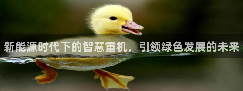 威九国际父亲的友人：新能源时代下的智慧重机，引领绿色发展的未