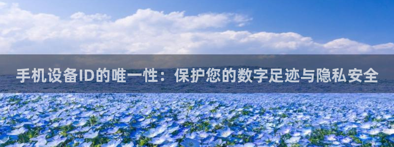 威九国际78app：手机设备ID的唯一性：保护您的数字足迹与