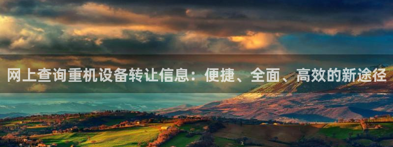 威九国际可以提现吗现在：网上查询重机设备转让信息：便捷、全面