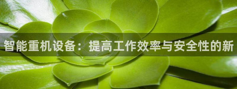 威九国际免费游戏：智能重机设备：提高工作效率与安全性的新