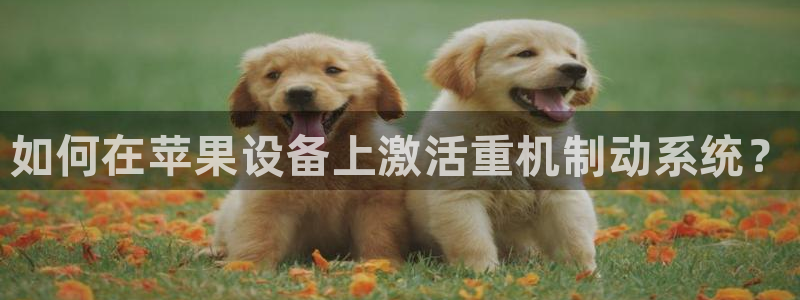 威九国际第一页：如何在苹果设备上激活重机制动系统？