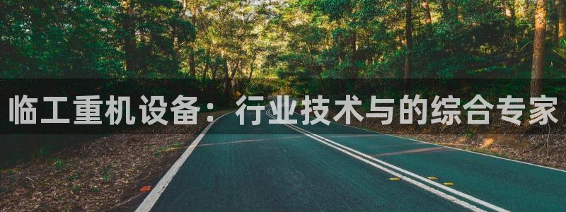 威九国际官方入口：临工重机设备：行业技术与的综合专家