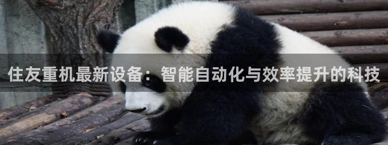 威九国际安全吗