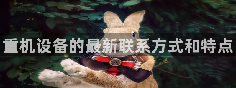 威九国际下载