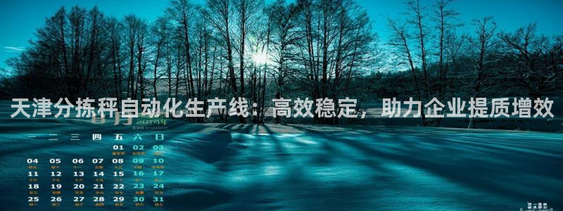 威九国际78