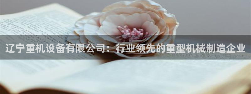 威九国际app网站安全吗：辽宁重机设备有限公司：行业领先的重