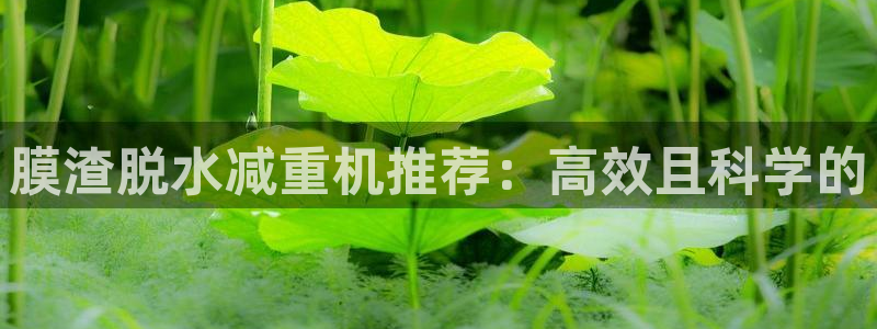 威九国际网站游戏