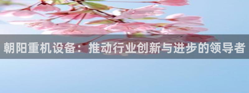 威九国际天美：朝阳重机设备：推动行业创新与进步的领导者