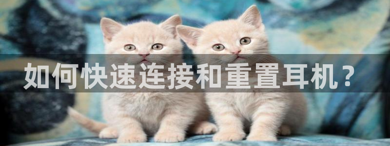 威九国际体育
