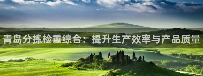 78mapp威九国际媒体：青岛分拣检重综合：提升生产效率与产