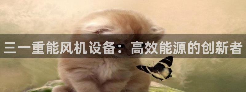 威九国际空降视频