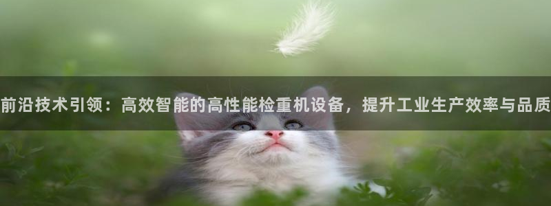 威九国际女明星：前沿技术引领：高效智能的高性能检重机设备，提