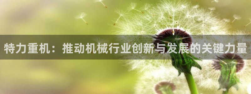 威九国际父亲的友人：特力重机：推动机械行业创新与发展的关键力