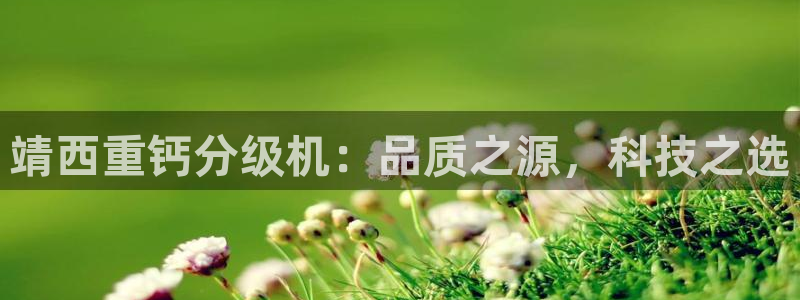 威九国际官网登录入口：靖西重钙分级机：品质之源，科技之选