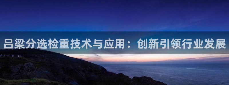 威九国际app入口在哪：吕梁分选检重技术与应用：创新引领行业