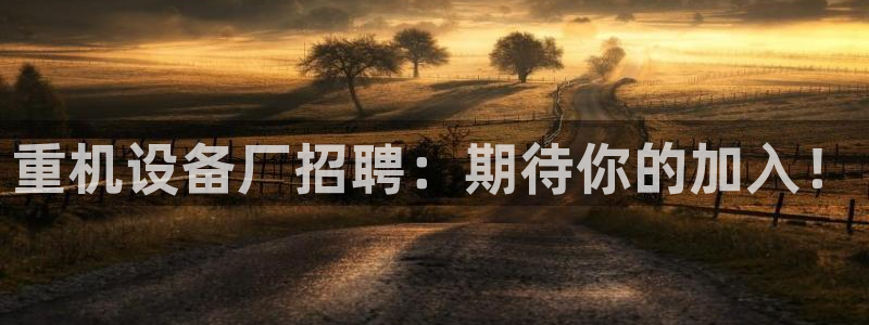 威九国际的女主