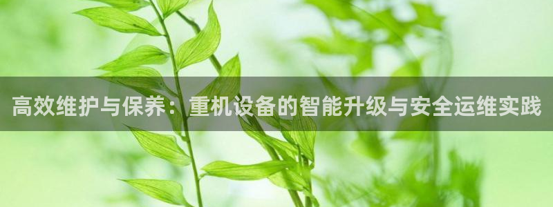 保定威九网络科技有限公司：高效维护与保养：重机设备的智能升级