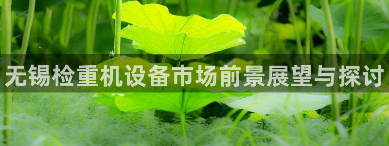 威九国际电影2022年9月月：无锡检重机设备市场前景展望与探