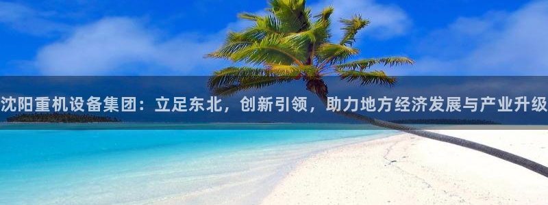 威九国际66m66m电影：沈阳重机设备集团：立足东北，创新引