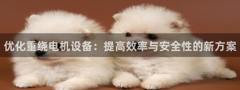 威九国际网站传媒招聘