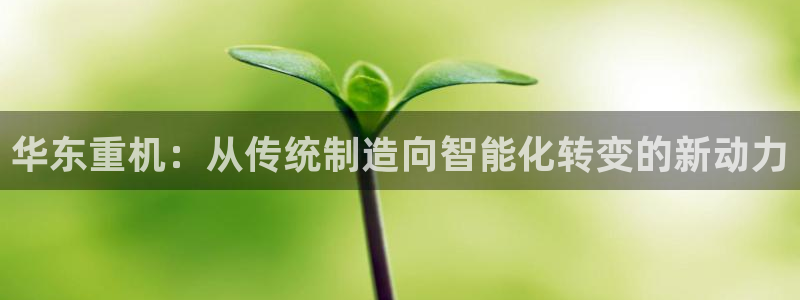 威九国际安全吗的认证团队