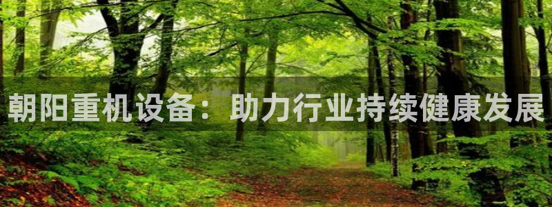 威九国际66m66成长模式：朝阳重机设备：助力行业持续健康发
