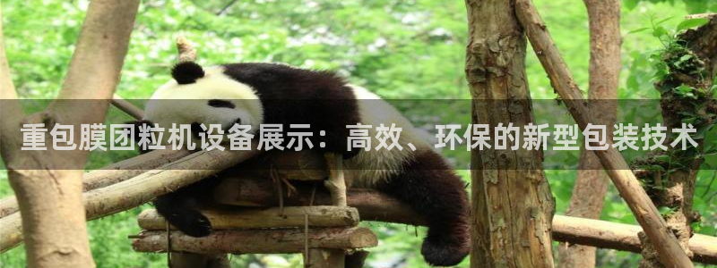 威九国际空降视频