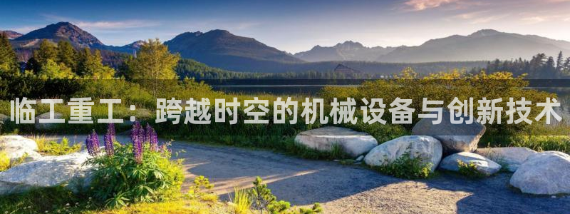 威九国际网站游戏：临工重工：跨越时空的机械设备与创新技术