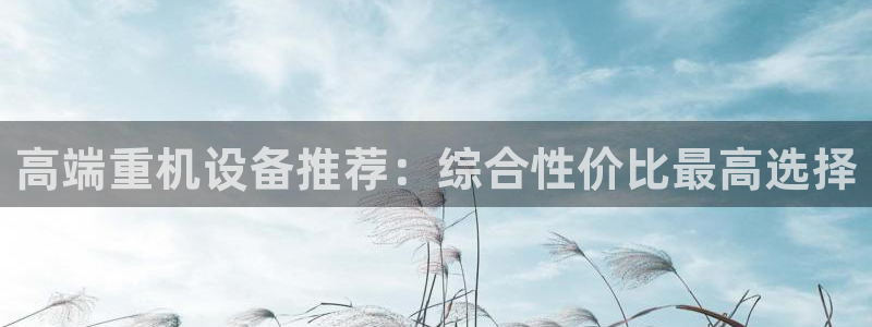 威九国际FF：高端重机设备推荐：综合性价比最高选择