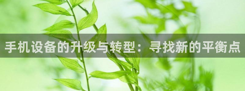 威九国际摩托电影HD：手机设备的升级与转型：寻找新的平衡点