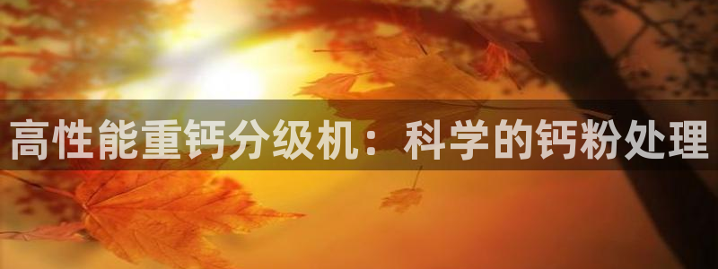 威九国际电子有限公司：高性能重钙分级机：科学的钙粉处理
